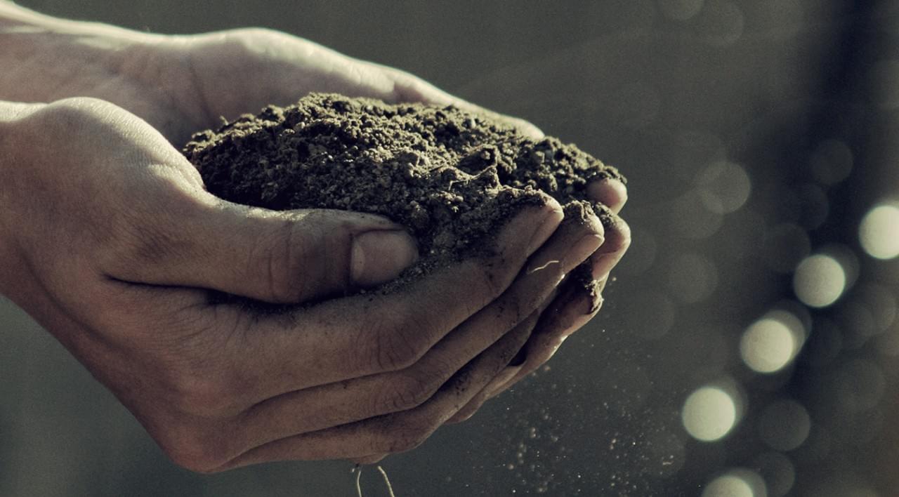 Dirty hands holding soil